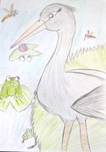 Šimončič Kristián.jpg